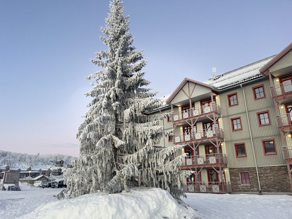 Ski Lodge Tänndalen
